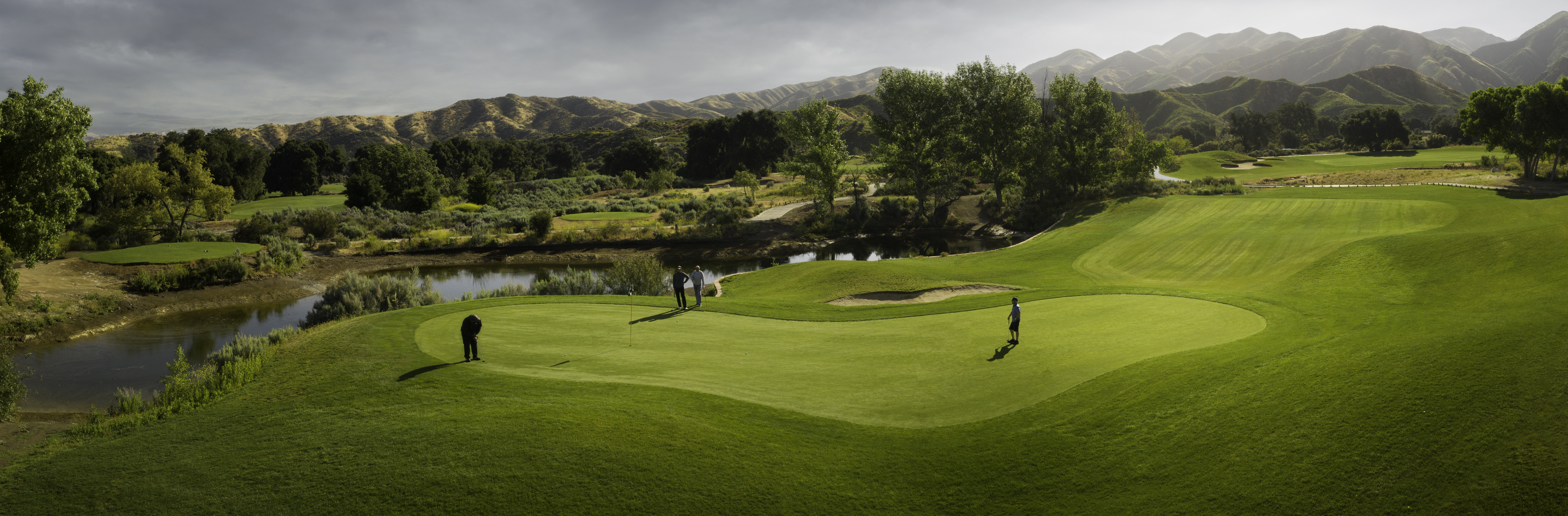 Image of golf ball on tee on grass.